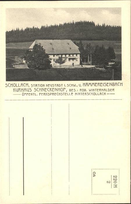 Schollach Eisenbach (Hochschwarzwald) Kurhaus Schneckenhof