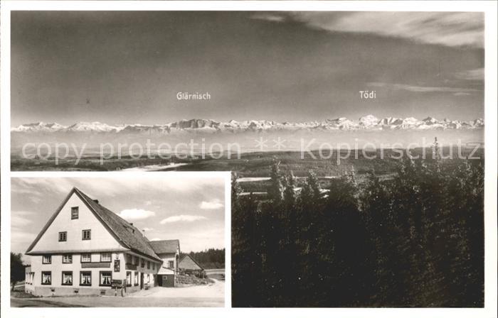 Eisenbach Schwarzwald Gasthof Pension zum Hirschen Panorama Schweizer Alpen Glae