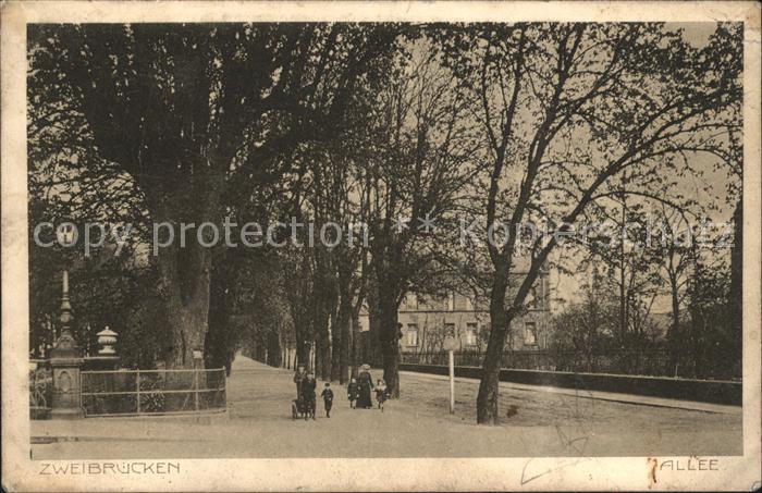 Zweibruecken Baumallee