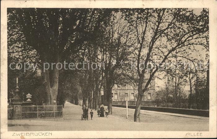 Zweibruecken Baumallee