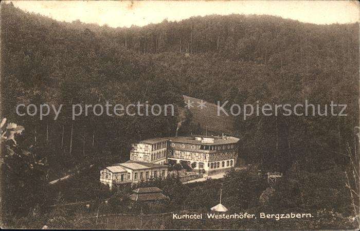 Bad Bergzabern Kurhotel Westenhoefer