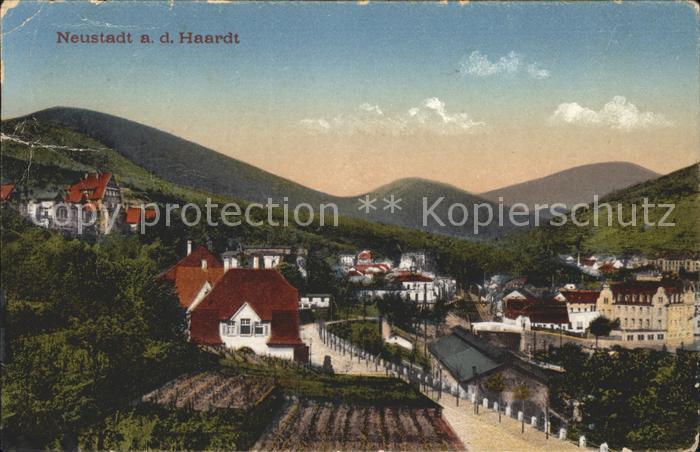 Neustadt Haardt Panorama