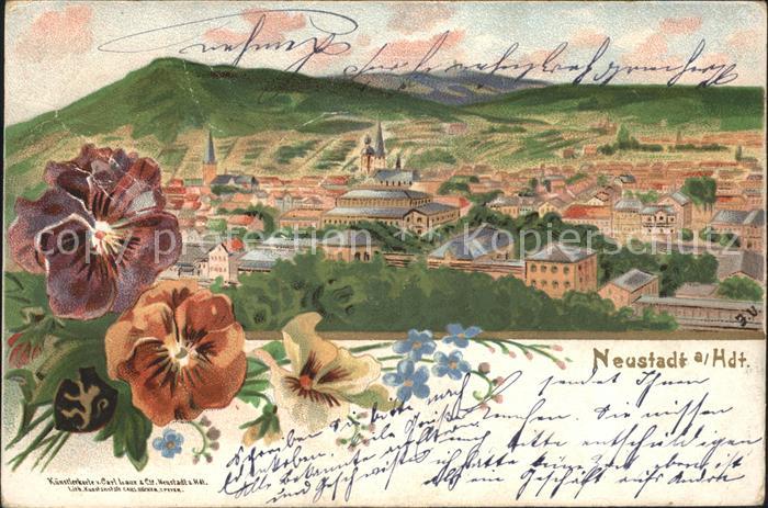 Neustadt Haardt Gesamtansicht Blumen Kuenstlerkarte