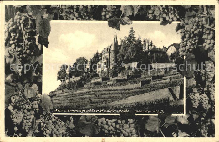 Haardt Weinstrasse Haardter Schloss Weinort Erholungsort Weintrauben