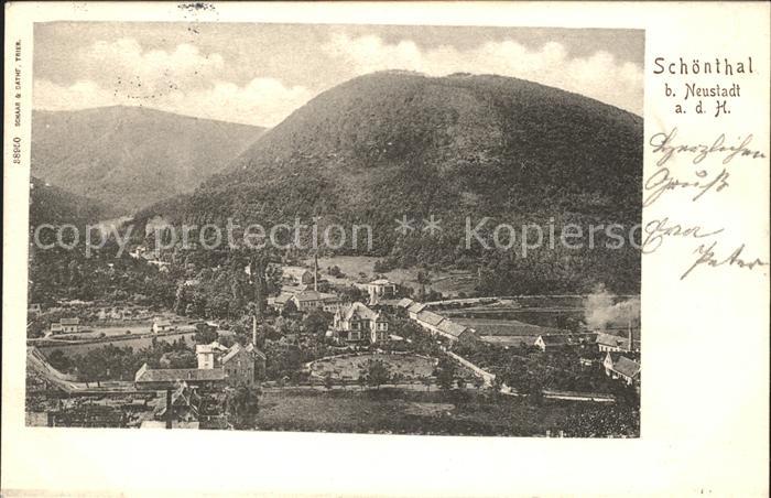 Schoental Neustadt Weinstrasse Totalansicht