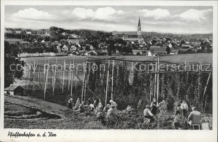 Pfaffenhofen Ilm Gesamtansicht Hopfenanbau