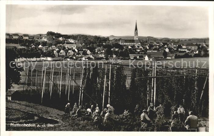 Pfaffenhofen Ilm Gesamtansicht Hopfenanbau