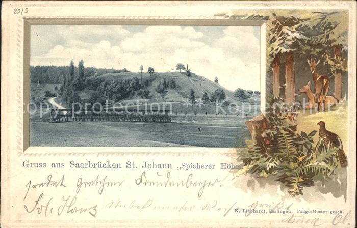 St Johann Saarbruecken Spicherer Hoehen Reh Fasan