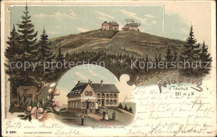 Feldberg Taunus Restauration Sturm Hirsch