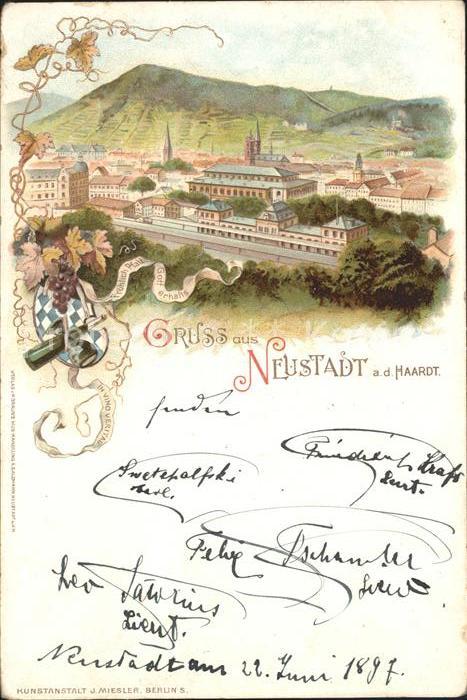 Neustadt Haardt Panorama Weinrebe