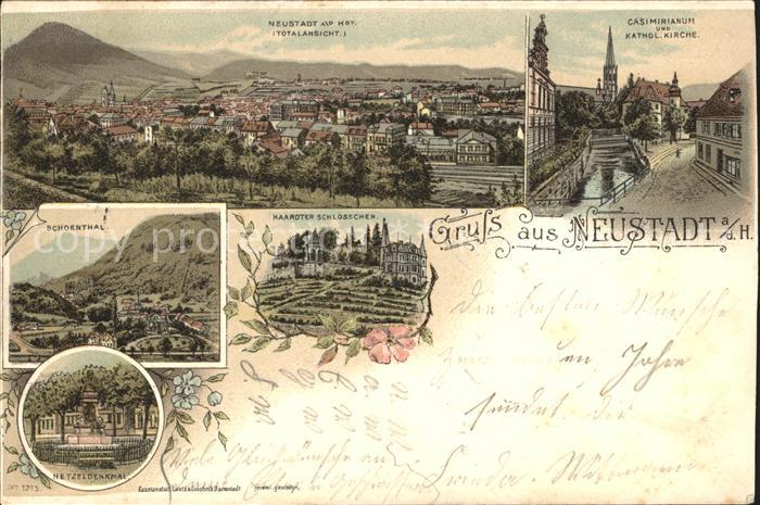 Neustadt Haardt Totalansicht Casimirianum Kirche Schoental Schloesschen Hetzelde