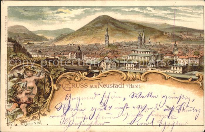 Neustadt Haardt Gesamtansicht