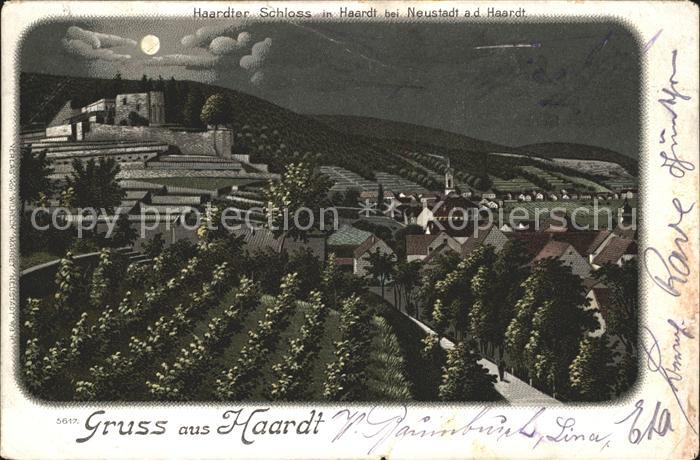 Neustadt Haardt Haardter Schloss im Mondschein