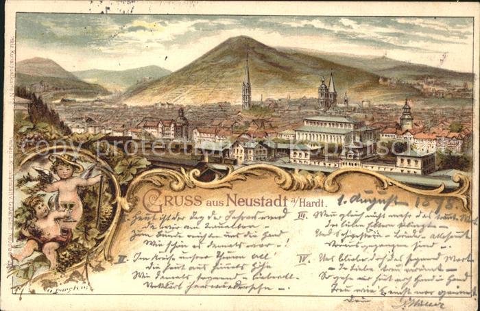 Neustadt Haardt Panorama Wein