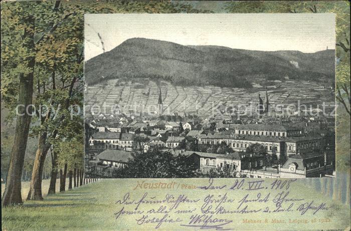 Neustadt Haardt Panorama Baumallee