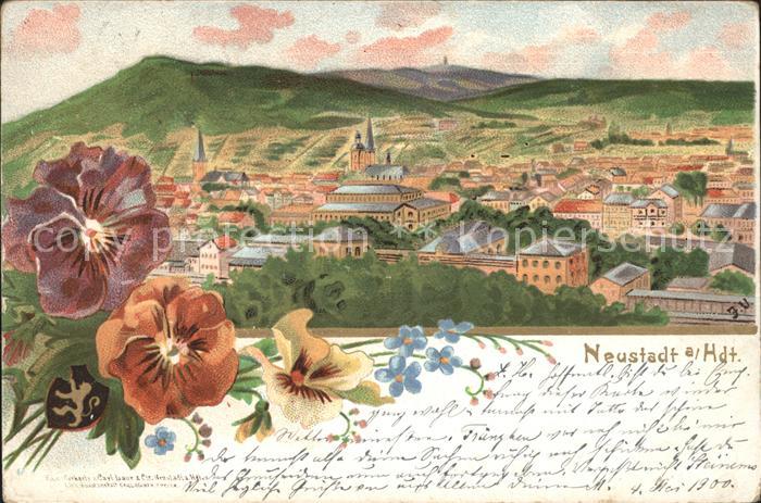 Neustadt Haardt Gesamtansicht Blumen Kuenstlerkarte