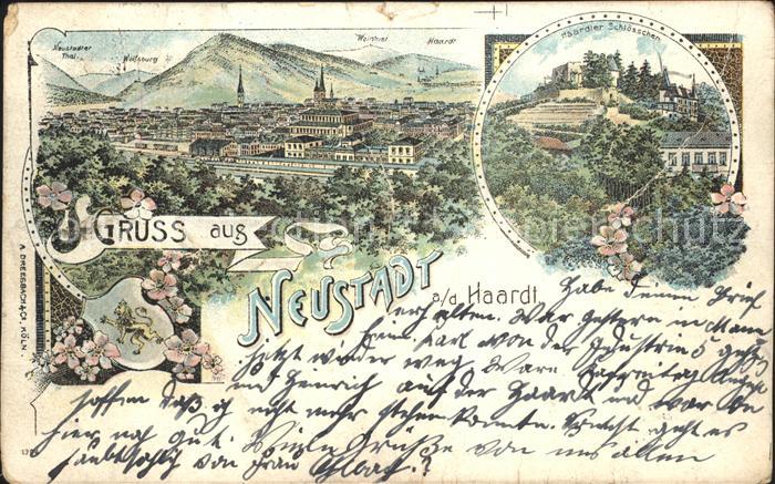 Neustadt Haardt Gesamtansicht Haardter Schloesschen Wappen