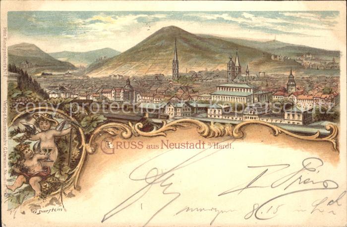 Neustadt Haardt Gesamtansicht Wein