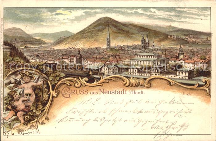 Neustadt Haardt Gesamtansicht Wein