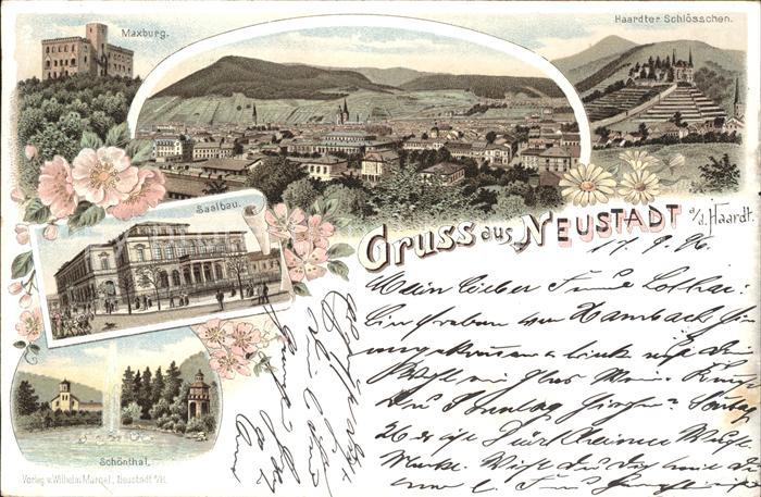 Neustadt Haardt Totalansicht Haardter Schloesschen Maxburg Saalbau Schoental Luf