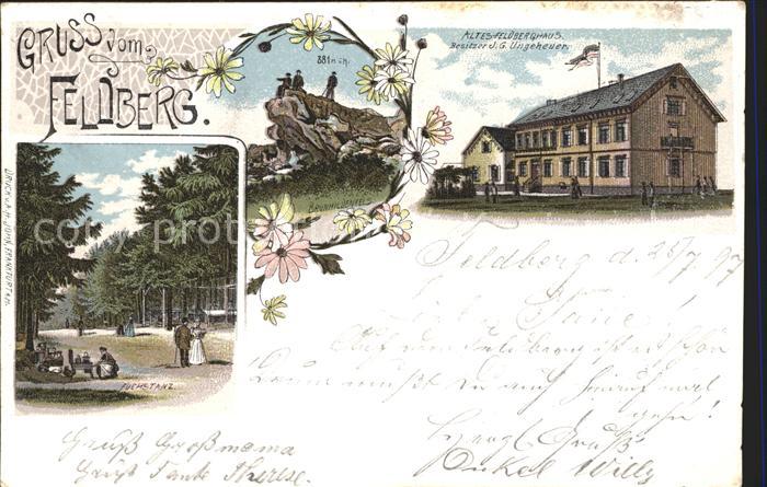 Schmitten Taunus Feldberg Brunhildenfels Altes Feldberghaus Fuchstanz Deutsche R