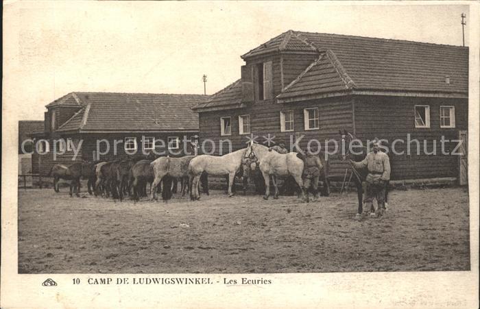 Ludwigswinkel Camp Les Ecuries Pferde