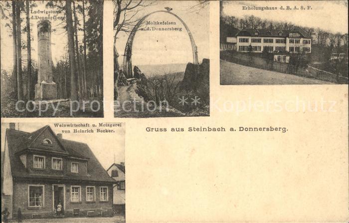 Steinbach Donnersberg Ludwigsturm Moltkefelsen Erholungsheim BASF Weinwirtschaft