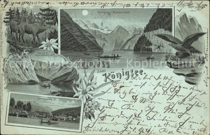 Koenigssee im Mondschein Obersee Landungsplatz Adler Hirsch Edelweiss