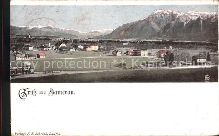 Hamerau Gesamtansicht mit Alpen