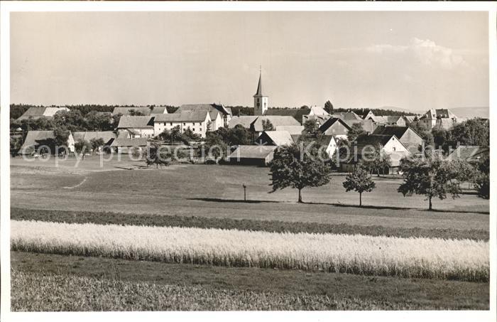 Birkendorf Ortsansicht mit Kirche Felder Hoehenkurort Schwarzwald