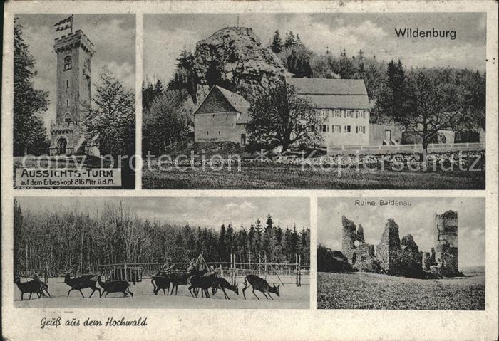 Kempfeld Wildenburg Aussichtsturm Erbeskopf Ruine Baldenau Wildgehege Rehe