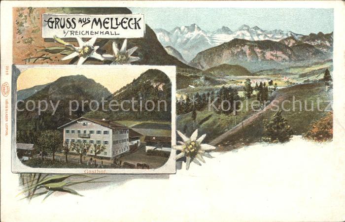 Melleck Alpenpanorama Edelweiss Gasthof