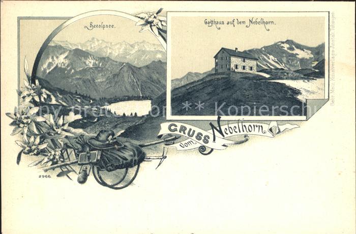 Oberstdorf Panorama Seealpsee Berggasthaus Nebelhorn Alpenblumen