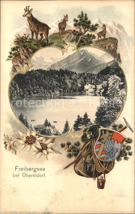 Freibergsee Panorama mit Allgaeuer Alpen Gemse Wappen Edelweiss
