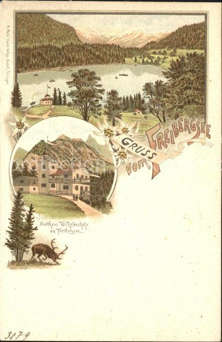 Freibergsee Panorama mit Allgaeuer Alpen Gasthaus Wilhelmshoehe Hirsch