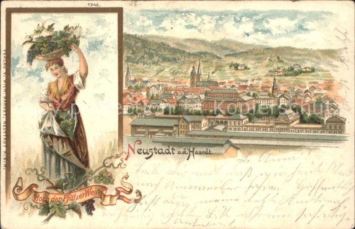 Neustadt Haardt Panorama Hoch der Pfaelzer Wein Trachten