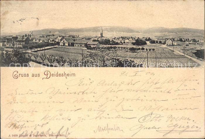 Deidesheim Panorama
