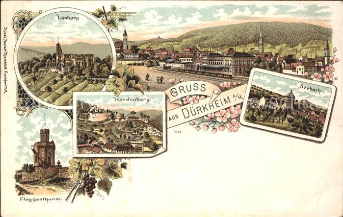 Bad Duerkheim Totalansicht Klosterruine Limburg Seebach Hardenburg Flaggenturm