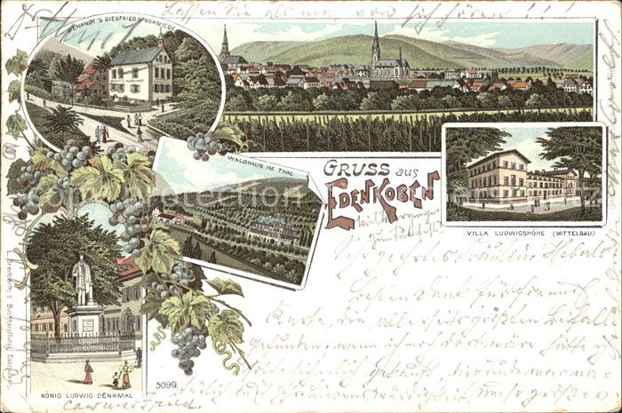 Edenkoben Gesamtansicht Villa Ludwigshoehe Siegfriedsschmiede Gaststaette Waldha