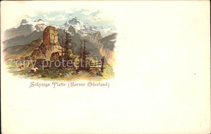 Schynige Platte Litho