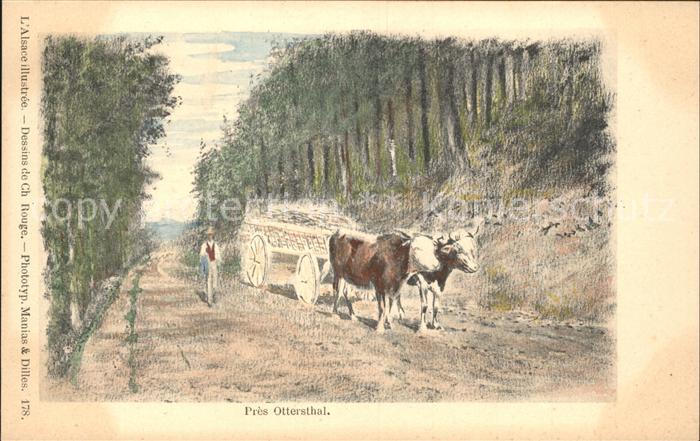Ottersthal Alsace illustree Kuehe Bauer