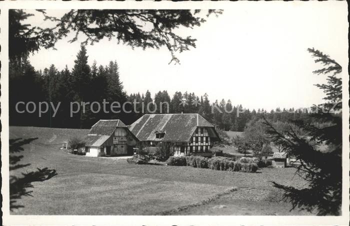 Biglen Waldeck Arnisaege