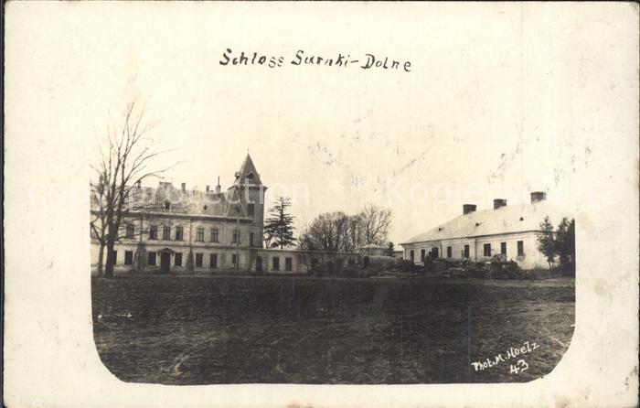 Polen Schloss Sarnki Dolne