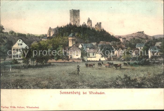 Sonnenberg Wiesbaden Burg Ruine