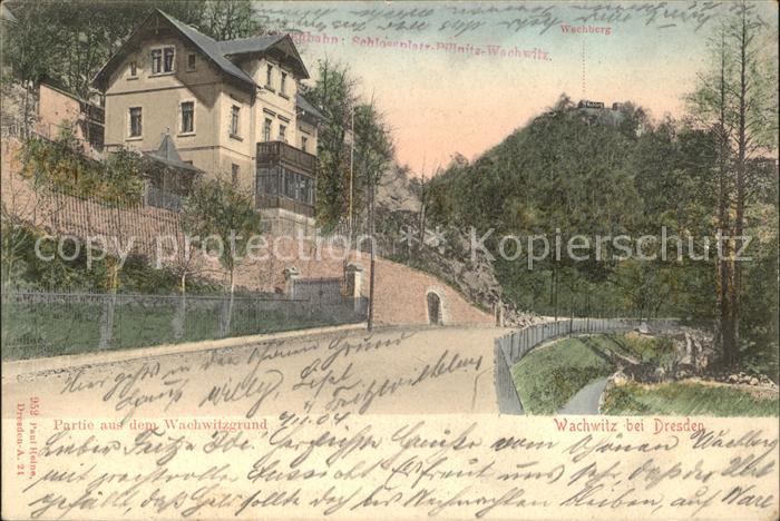 Wachwitz Partie aus dem Wachwitzgrund Wachberg