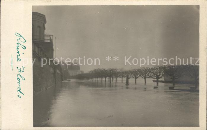Wiesbaden Rhein Hochwasser