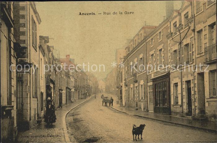 Ancenis Rue de la Gare Chien