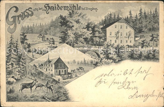 DRESDEN Elbe Gasthof Heidemuehle Hirsch Reh Deutsche Reichspost