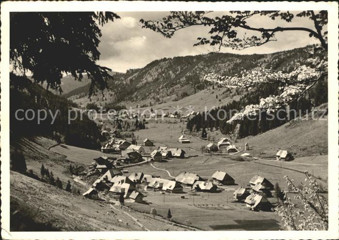 Menzenschwand Blick vom Waldrand Hoehenluftkurort Wintersportplatz Schwarzwald