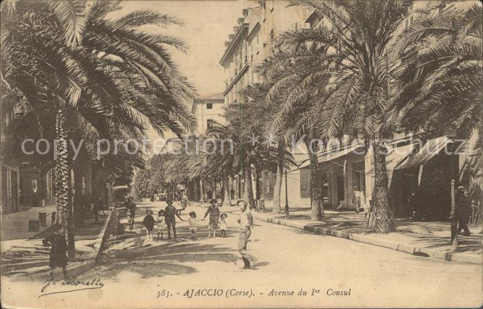 Ajaccio Avenue du 1er Consul Palmiers